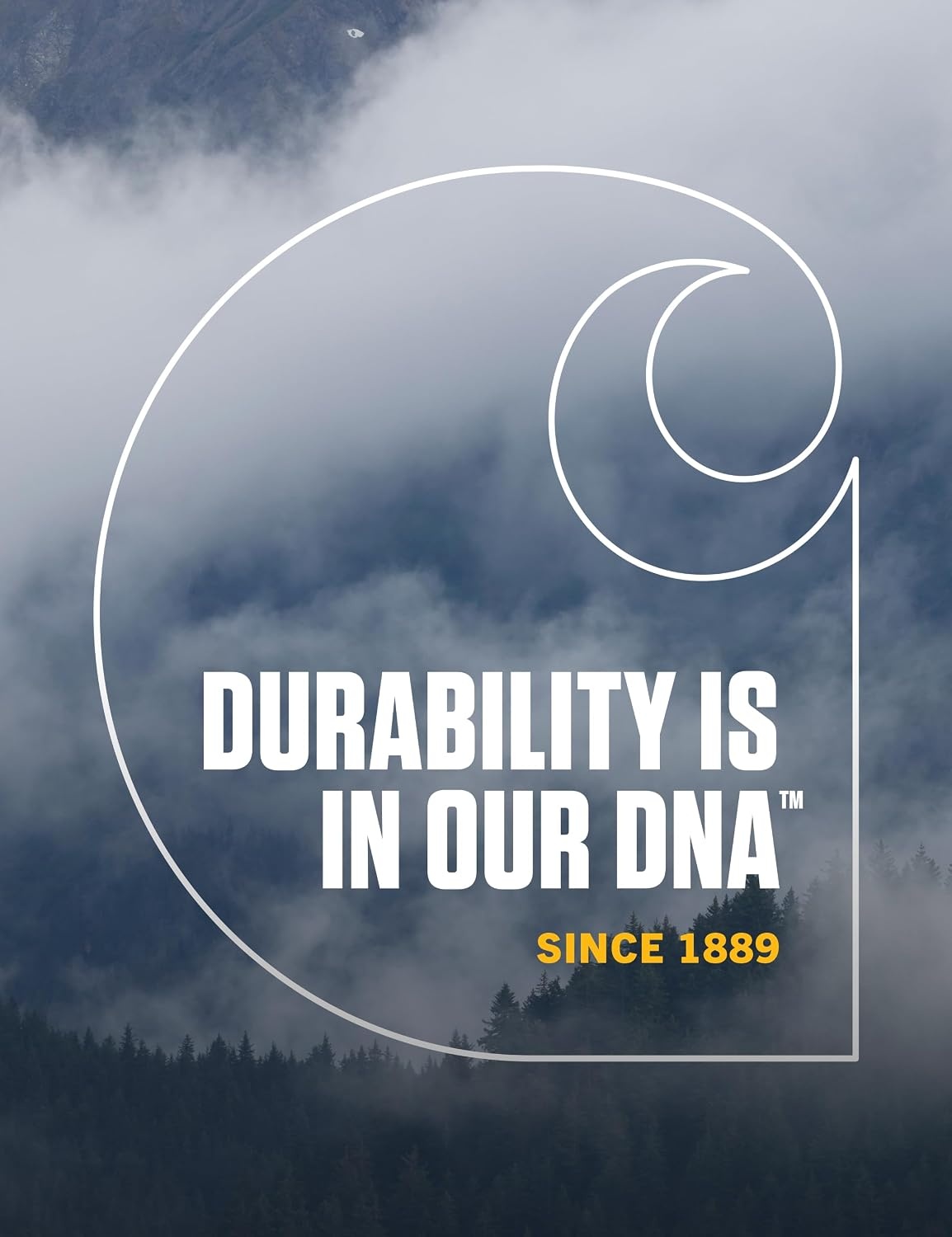 image:imageCarhartt Mens Knit Cuffed BeanieHeather Gray